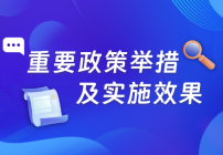 重要政策舉措及實施效果